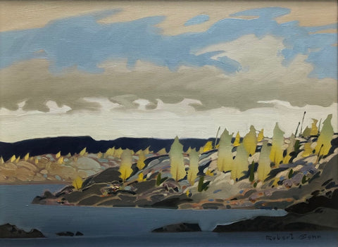 POINT, NORTHERN LAKE CIRCA 2012