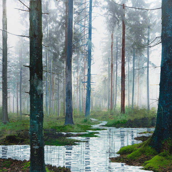 Steven Nederveen artwork 'TREE DREAMS' at Canada House Gallery