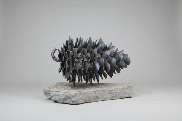 Floyd Elzinga artwork 'LODGEPOLE #25-039' at Canada House Gallery