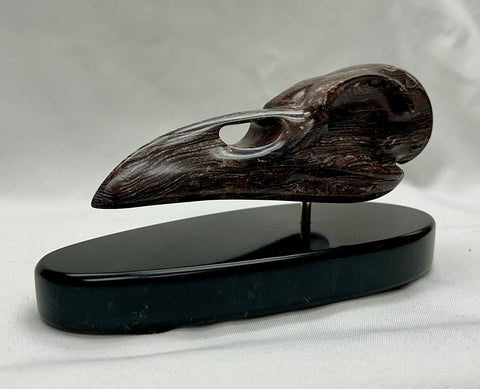 RAVEN SKULL STUDY #2