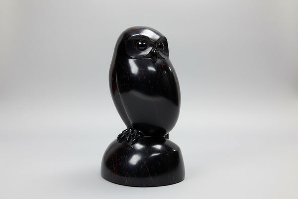 David Riome artwork 'PYGMY OWL' at Canada House Gallery
