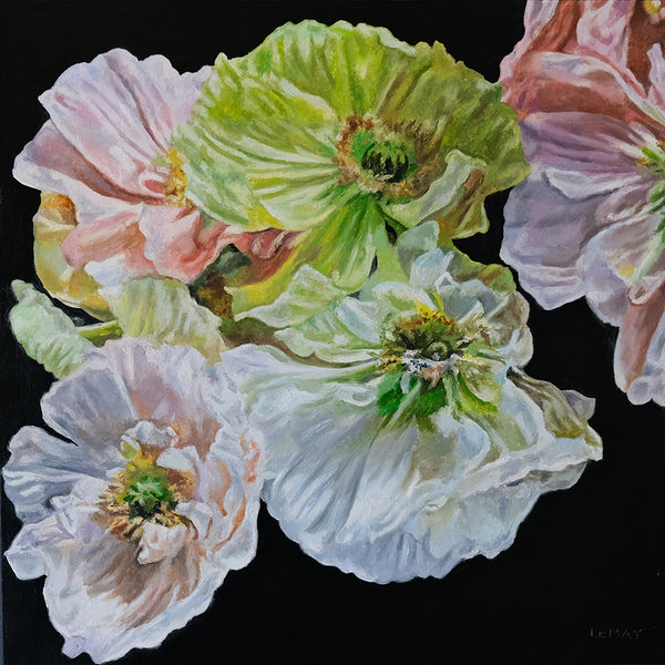 Robert Lemay artwork 'COLIBRI POPPY STUDY' at Canada House Gallery