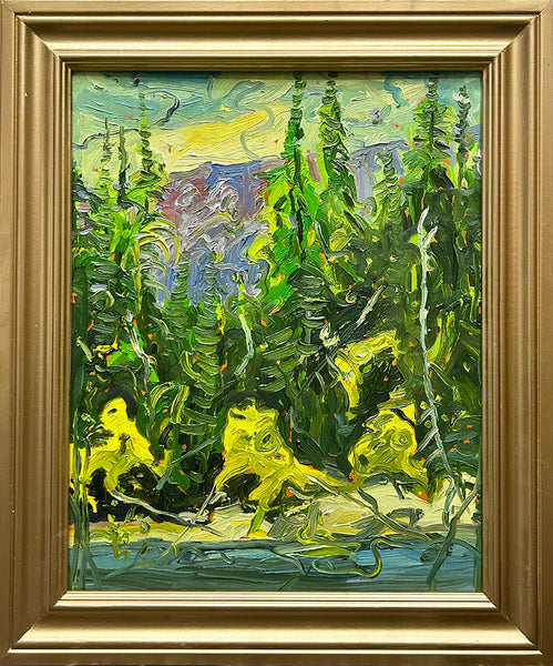 Michael Cameron artwork 'BOW RIVER BANFF' at Canada House Gallery