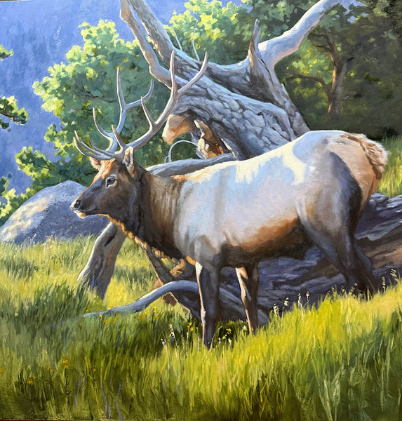 Gaye Adams artwork 'SUMMER GRAZING' at Canada House Gallery