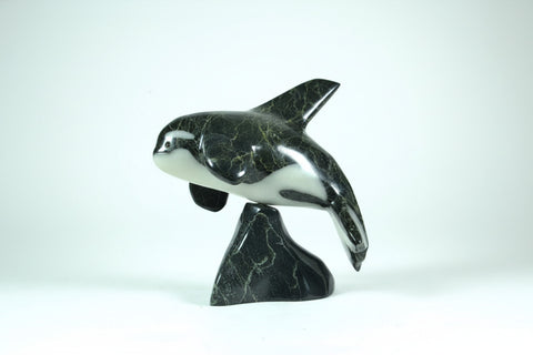 KILLER WHALE ON BASE
