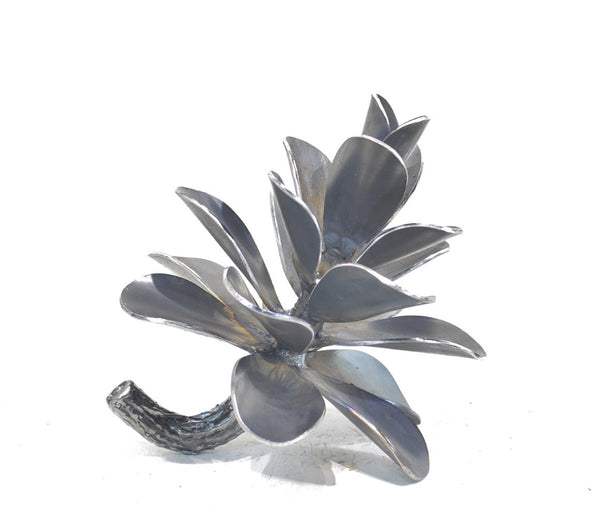 Floyd Elzinga artwork 'PINE CONE #25-369' at Canada House Gallery