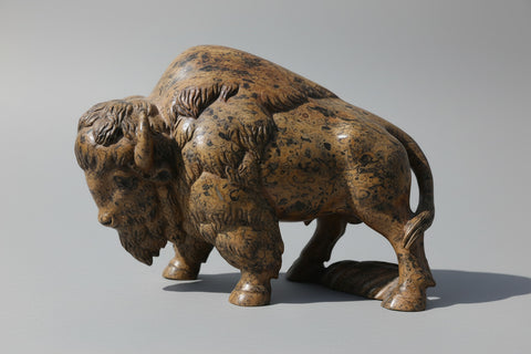 BISON