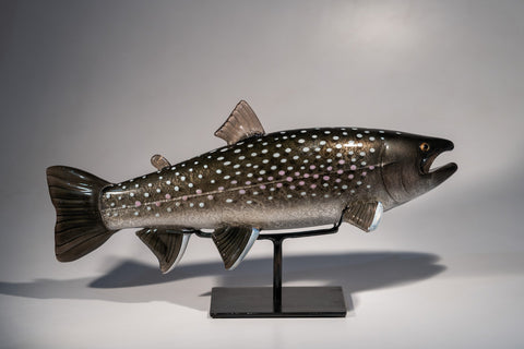 BULL TROUT #260115-6