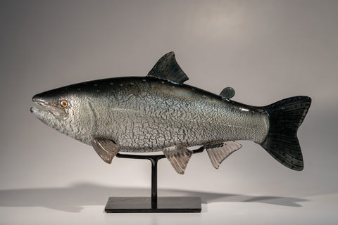 SILVER COHO #260115-1