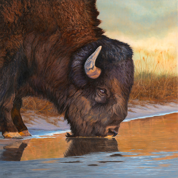 Heather Hawley artwork 'LAST LIGHT' at Canada House Gallery