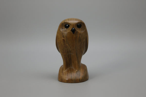 David Riome artwork 'BURROWING OWL' at Canada House Gallery