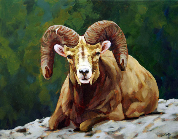 Susie Cipolla artwork 'RAM ON THE ROCKS' at Canada House Gallery