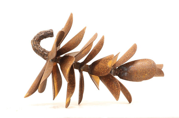 Floyd Elzinga artwork 'PINE CONE #26-262' at Canada House Gallery