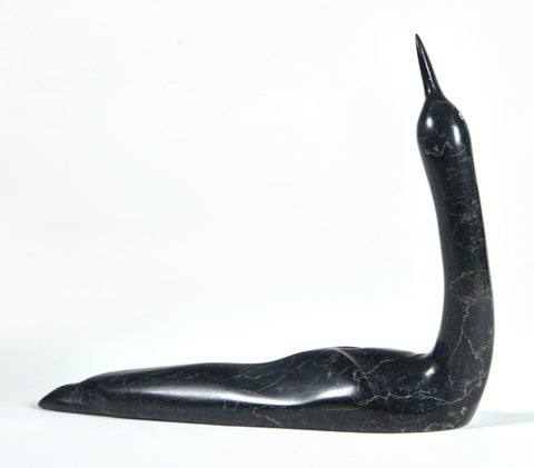 LOON
