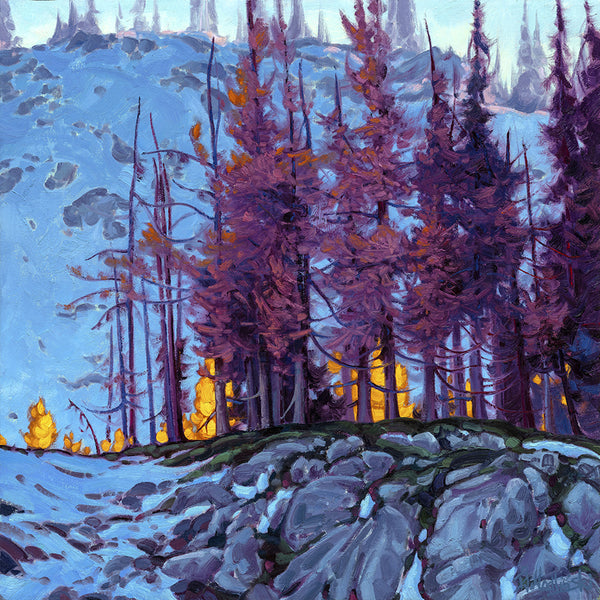 GOLDEN BRANCHES, WINTERS FIRST LOOK