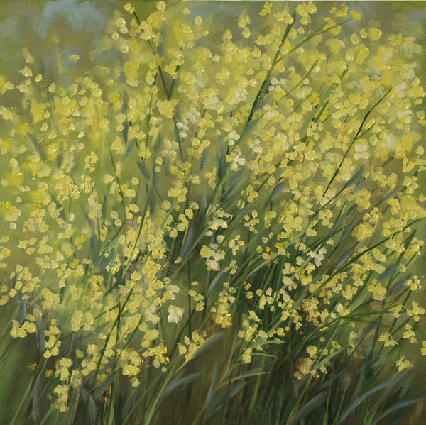 Richard Cole artwork 'CANOLA 09077' at Canada House Gallery