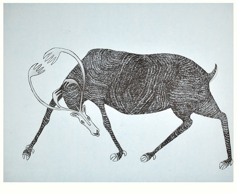 DEFIANT CARIBOU 8/50