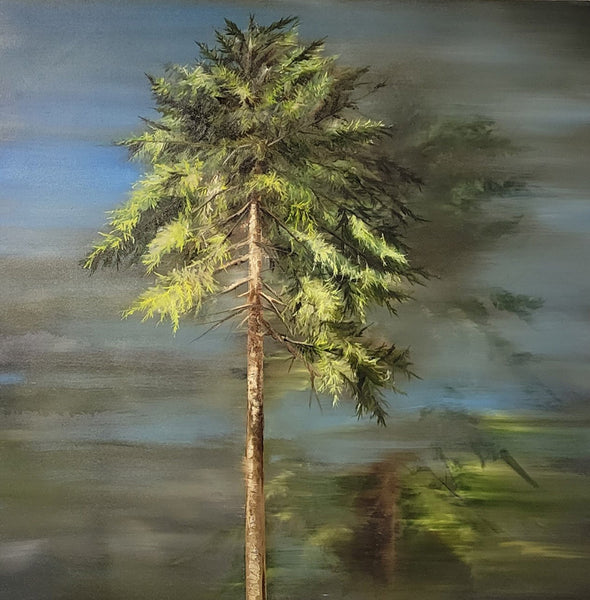 Richard Cole artwork 'LOW LAND FIR' available at Canada House Gallery - Banff, Alberta