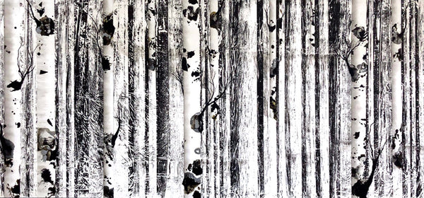 Anastasia Kimmett artwork 'BIRCH THROUGH BANKS' at Canada House Gallery