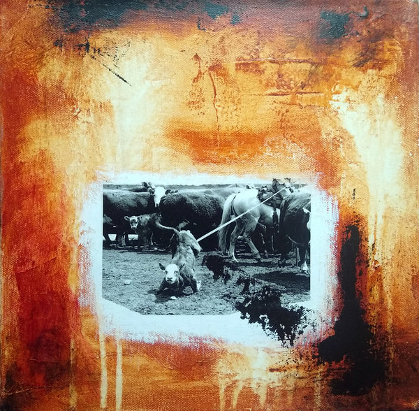 Dieter Schlatter artwork 'ORION / ALBERTA #12' at Canada House Gallery