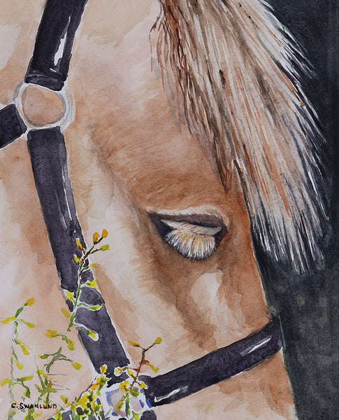 Cliff Swanlund artwork 'NORWEGIAN FJORD HORSE' at Canada House Gallery