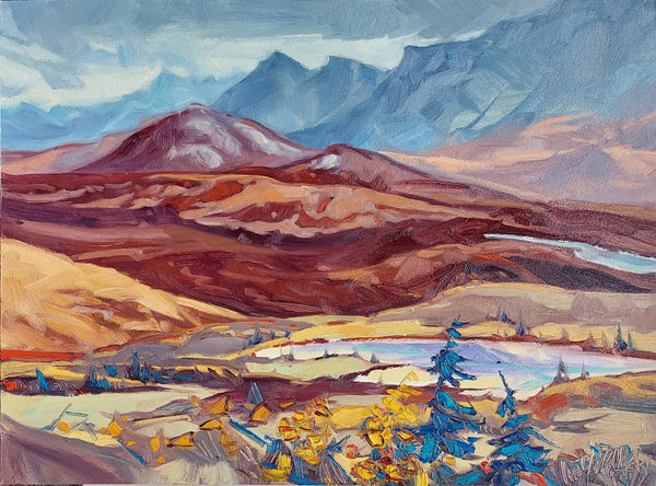 Dominik J Modlinski artwork 'TOWARDS DENALI' at Canada House Gallery