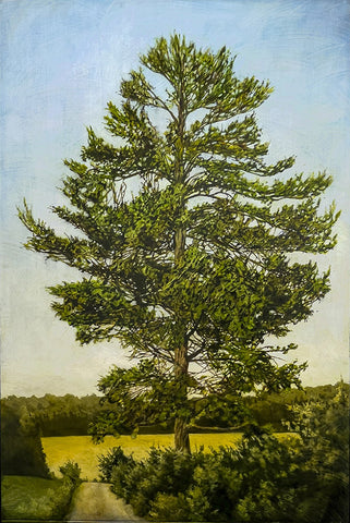 KINGS PINE (WITH A ROAD)