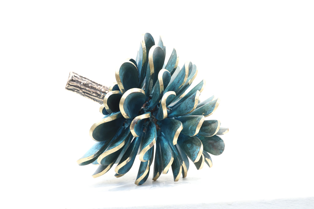 SCRUB CONE #25-501