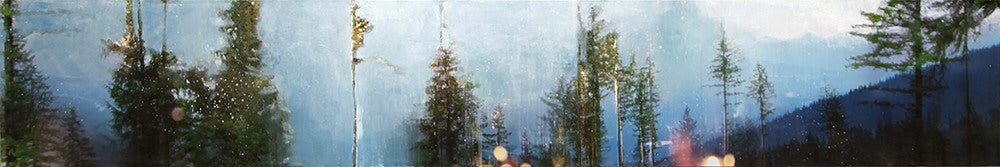 Steven Nederveen artwork 'SETTLE INTO THE HAZE' at Canada House Gallery