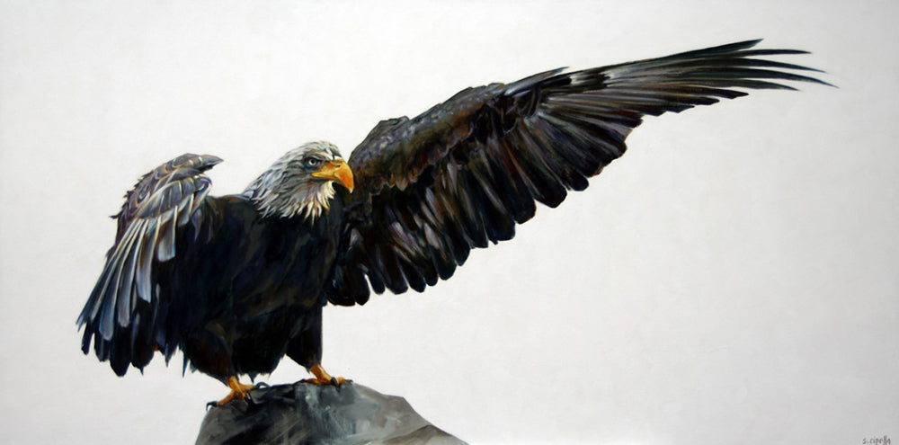 Susie Cipolla artwork 'A HIGH PERCH' at Canada House Gallery