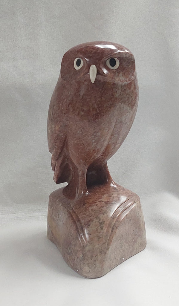 David Riome artwork 'BURROWING OWL' at Canada House Gallery