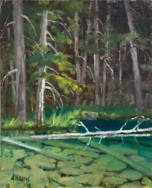 Gaye Adams artwork 'GRASSI LAKE GREENS' at Canada House Gallery