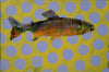 Les Thomas artwork 'AP #022-2352 TROUT' at Canada House Gallery