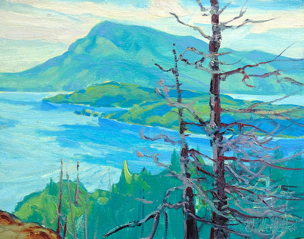 Dominik J Modlinski artwork 'OVER THE OCEAN - PENDER ISLAND' at Canada House Gallery