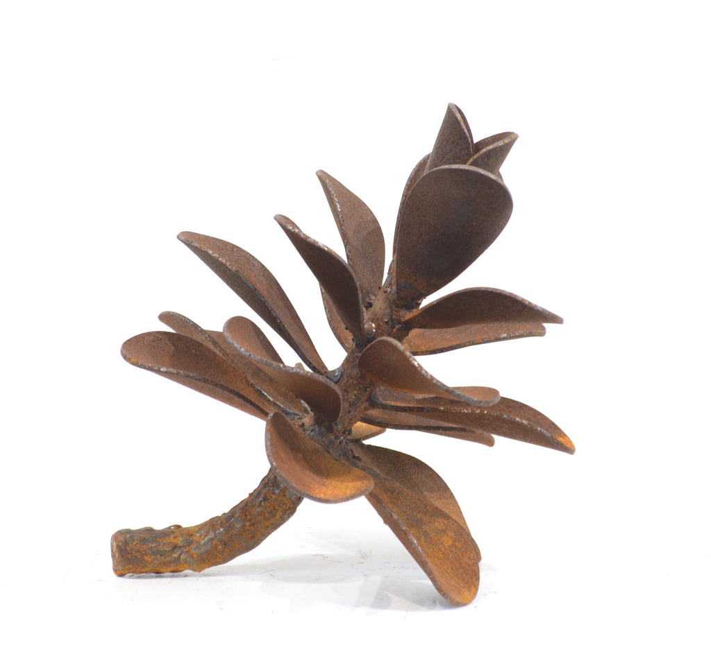 Floyd Elzinga artwork 'PINE CONE #24-437' at Canada House Gallery