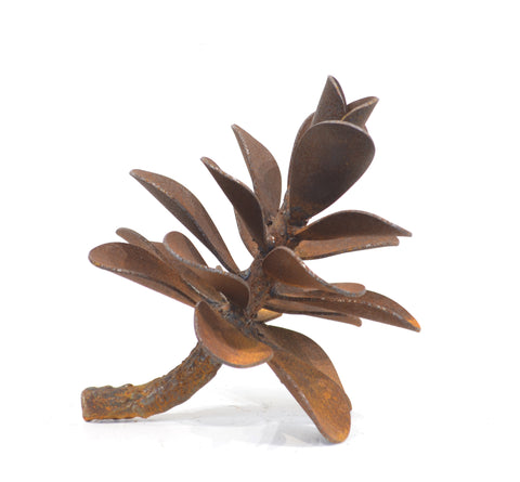 PINE CONE #24-437