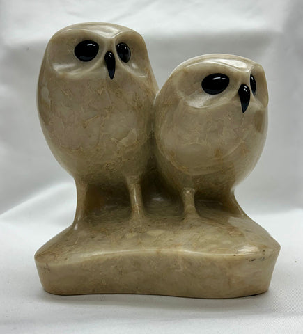 BURROWING OWLS