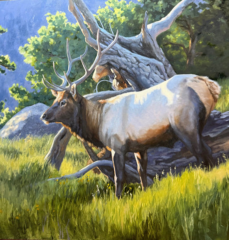 SUMMER GRAZING