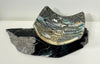 Leslie Rowe-Israelson artwork 'STRATIONS II' at Canada House Gallery