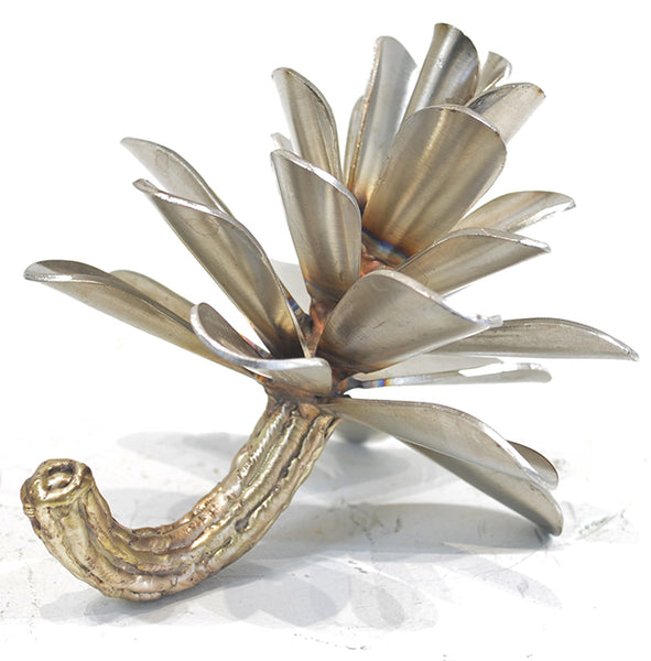 Floyd Elzinga artwork 'PINE CONE #25-302' at Canada House Gallery