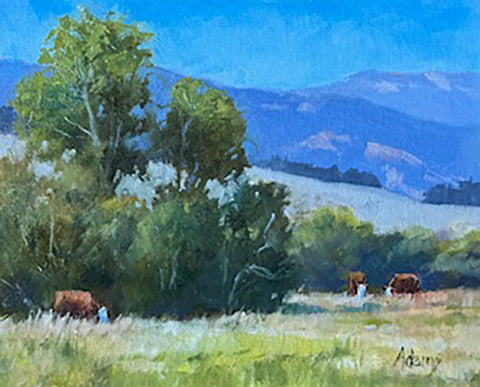 CAMPBELL RANGE HEREFORDS - ON RESERVE