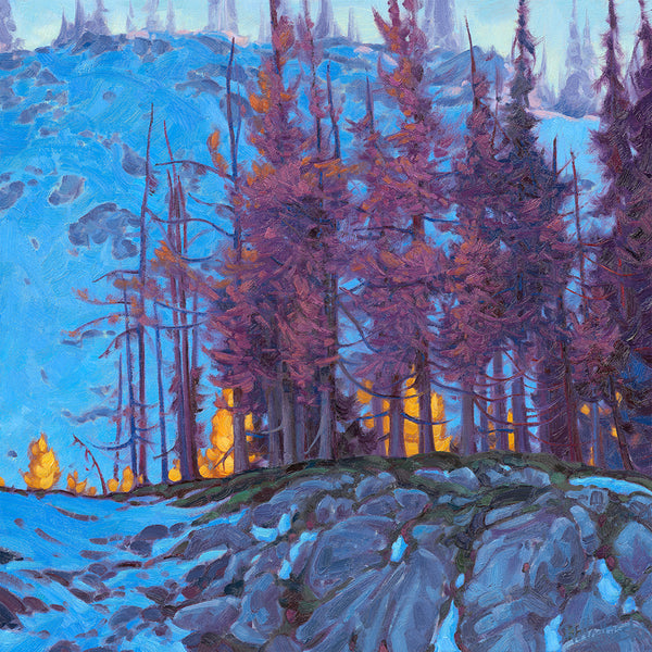 Dominik J Modlinski artwork 'GOLDEN BRANCHES, WINTERS FIRST LOOK' at Canada House Gallery