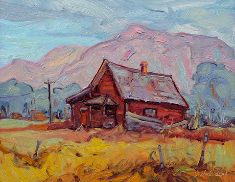 ONCE A HOME-FORT STEELE
