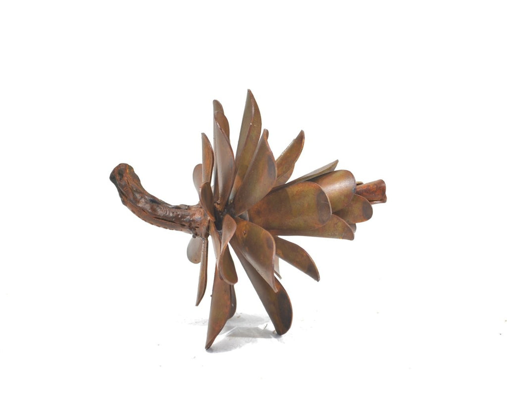 Floyd Elzinga artwork 'PINE CONE #25-333' at Canada House Gallery