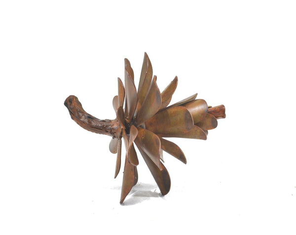 Floyd Elzinga artwork 'PINE CONE #25-333' at Canada House Gallery