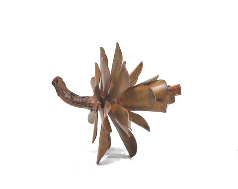 PINE CONE #25-333