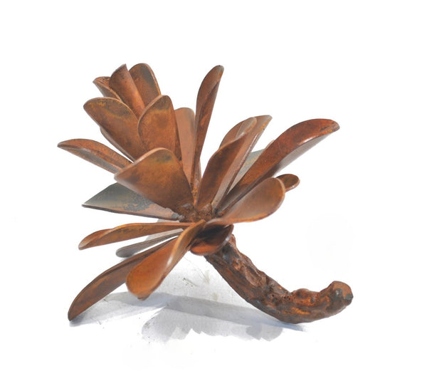 Floyd Elzinga artwork 'PINE CONE #25-346' at Canada House Gallery