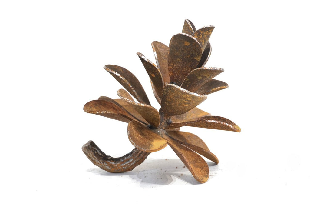 Floyd Elzinga artwork 'PINE CONE #25-368' at Canada House Gallery