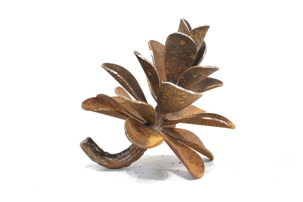 Floyd Elzinga artwork 'PINE CONE #25-368' at Canada House Gallery