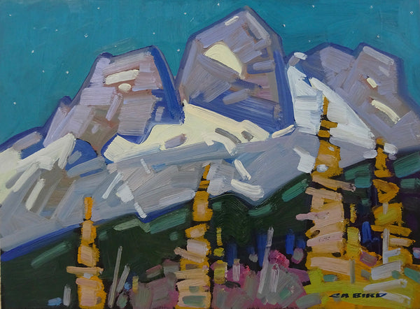 Cameron Bird artwork 'MT BEGBIE NIGHT' at Canada House Gallery